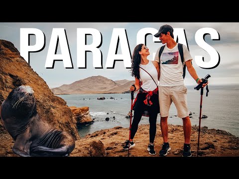 Islas Ballestas: Ein Naturparadies vor der peruanischen Küste 5