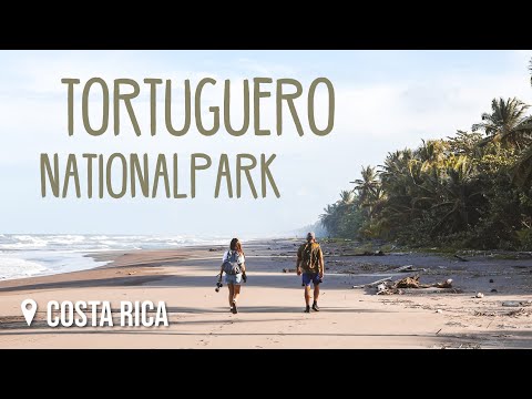 Tortuguero, Costa Rica: Ein Paradies der Biodiversität 5