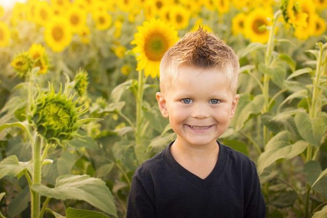 Lachender kleiner Junge vor einem Sonnenblumenfeld