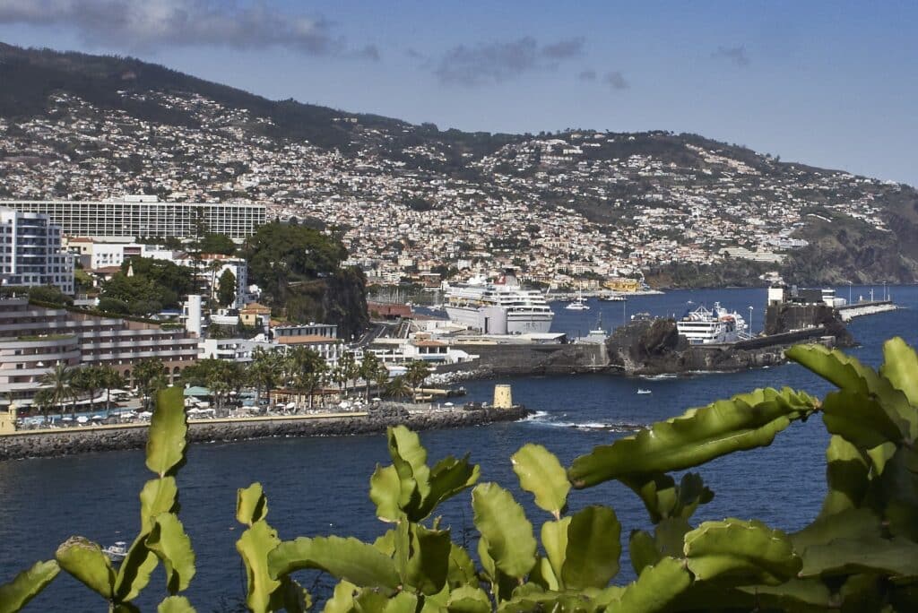 Madeira: Eine Perle im Atlantik 7