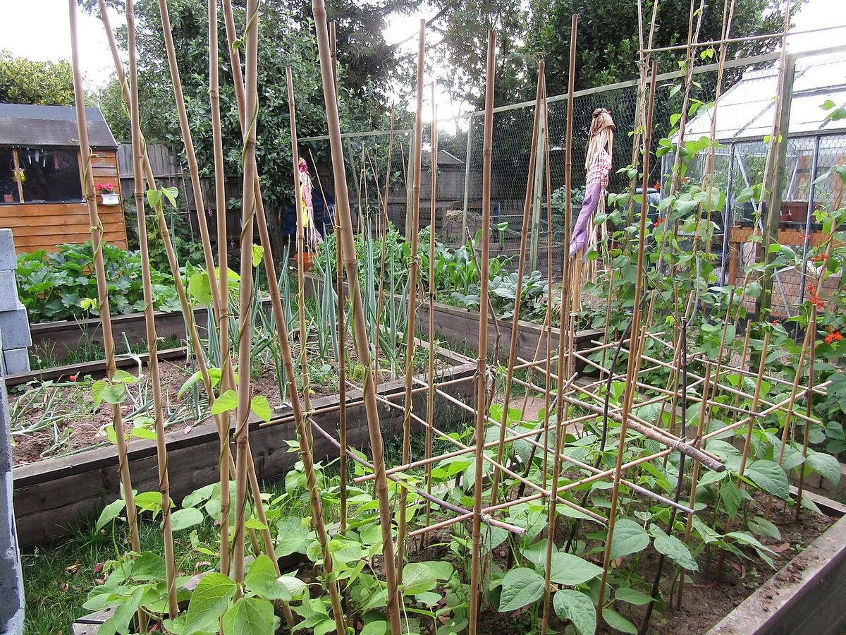 Gemüsegarten mit Hochbeeten